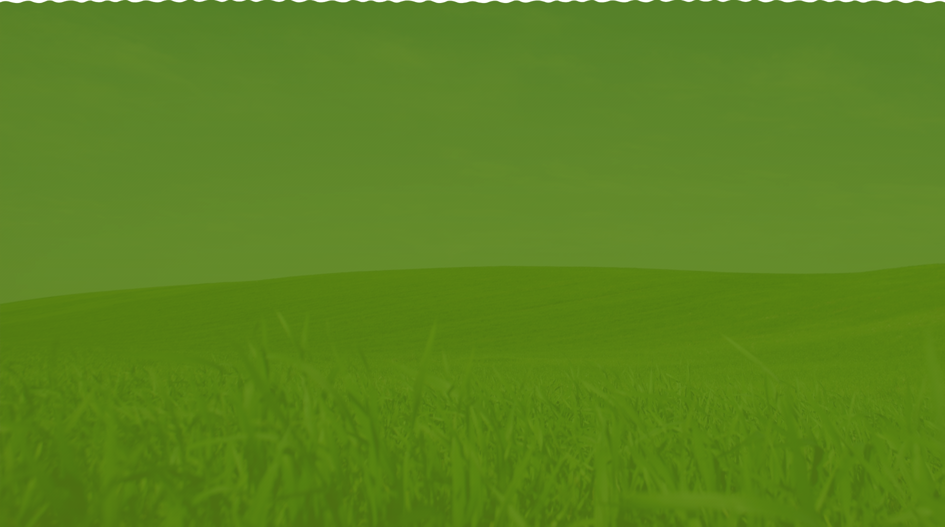 Polypropylene masterbatch ， polypropylene BCF filament masterbatch ，polypropylene masterbatch DTY silk, polypropylene ATY masterbatch, functional masterbatch